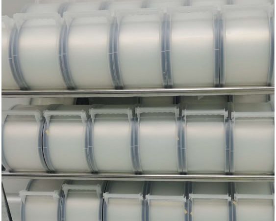 photo_2026-04-08_15-22-41